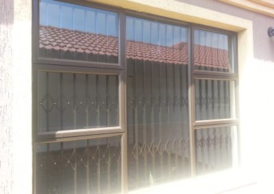 Xtreme-Trellis-Gallrey-22